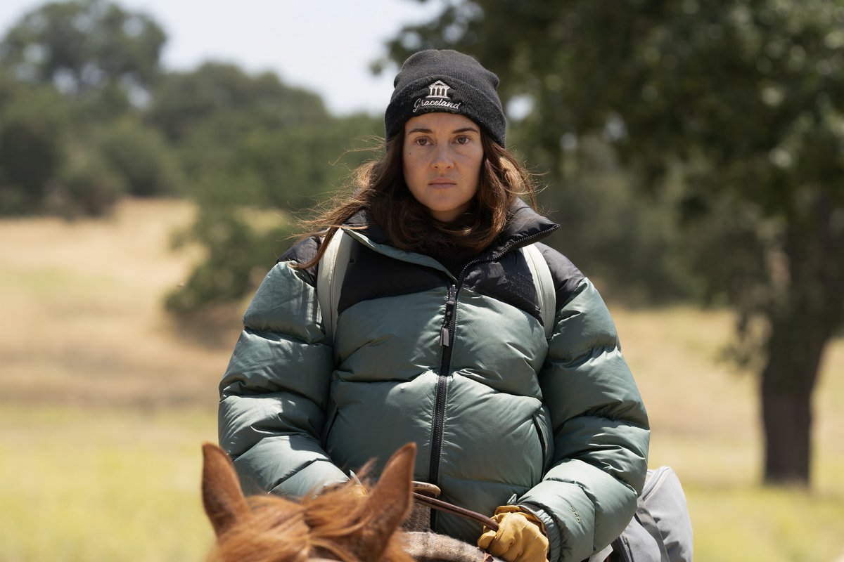 Paradise tweet media