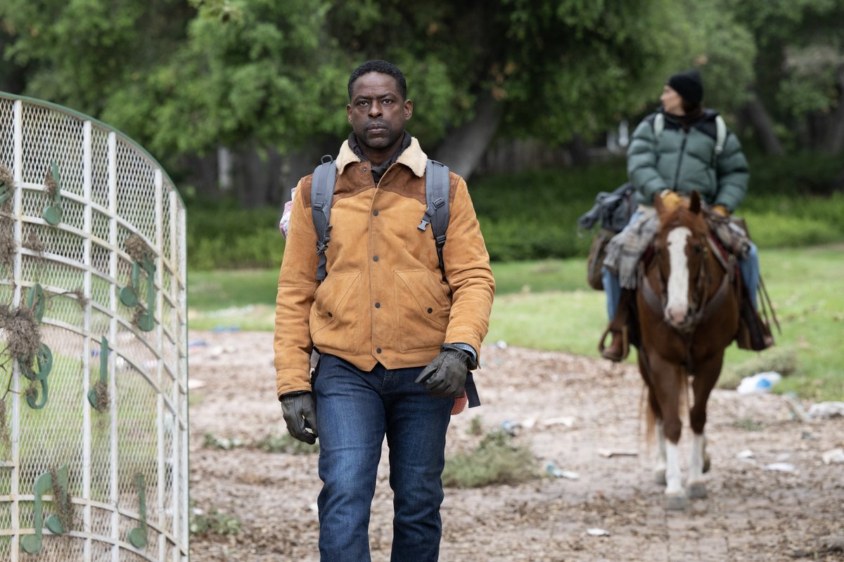 Paradise tweet media