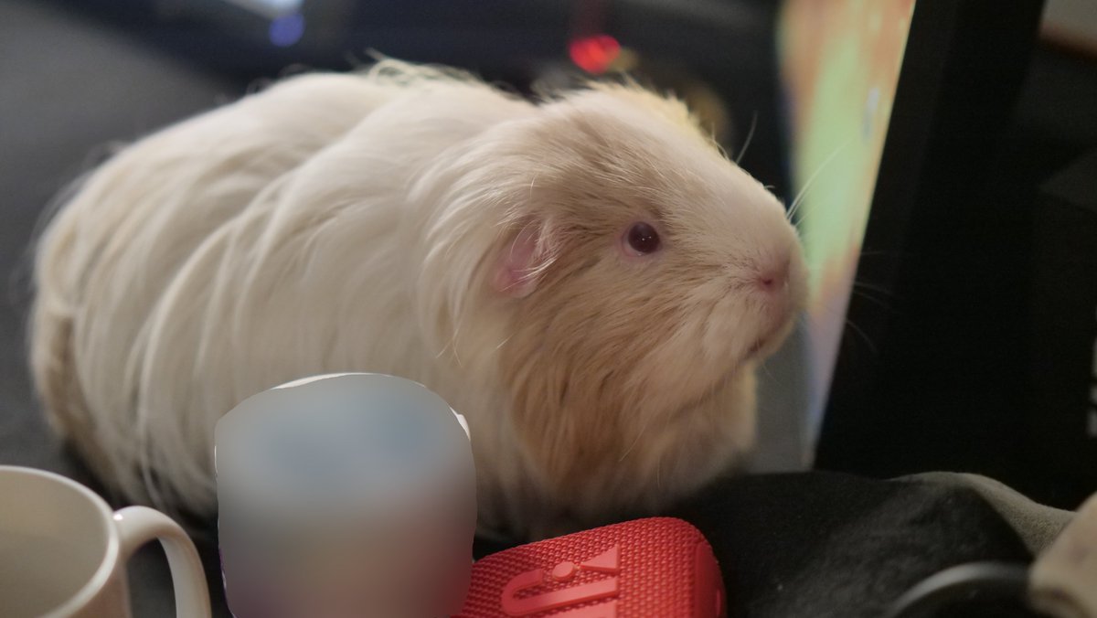 🚪🚪 tweet media