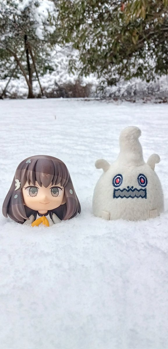 moguchan62's tweet photo. #今月のベストオモ写 いつも見てくれてありがとう!今月いっぱいイイネ頂いたのはこちら!青空も雪もあったけどにゃんこが優勝🎉
#とあるにゃんこの日常
#ペタン娘 #キューポッシュ #まどマギ #マギレコ #まどドラ #ねんどろいど #GATCHAMANCROWDS #ウドラ #立川 #昭和記念公園
ー昭和記念公園にてー https://t.co/XWrhtPnIaJ