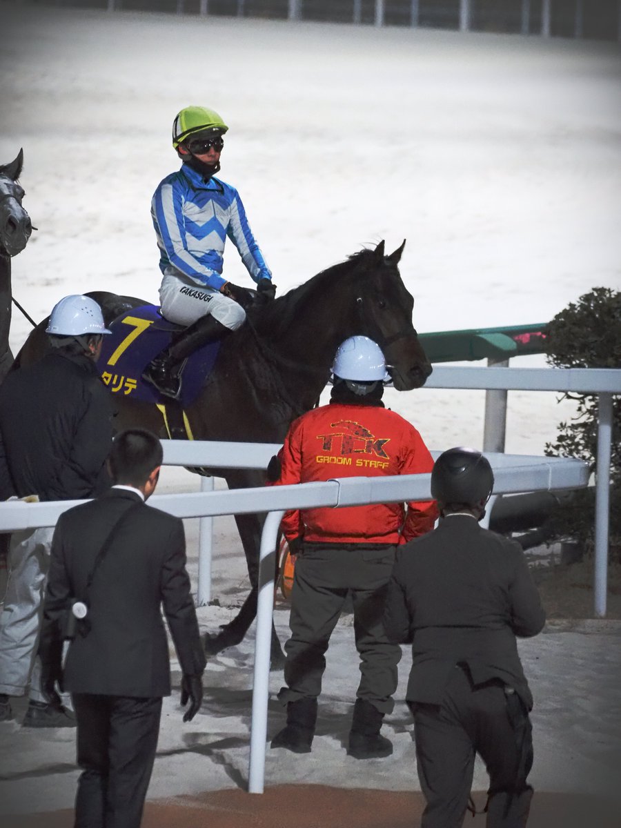 MakeFarmTokyo's tweet photo. 2026年1月21日船橋競馬場
JpnIII ブルーバードカップ
カタリテくん　その2 https://t.co/1BRSqJyAI9