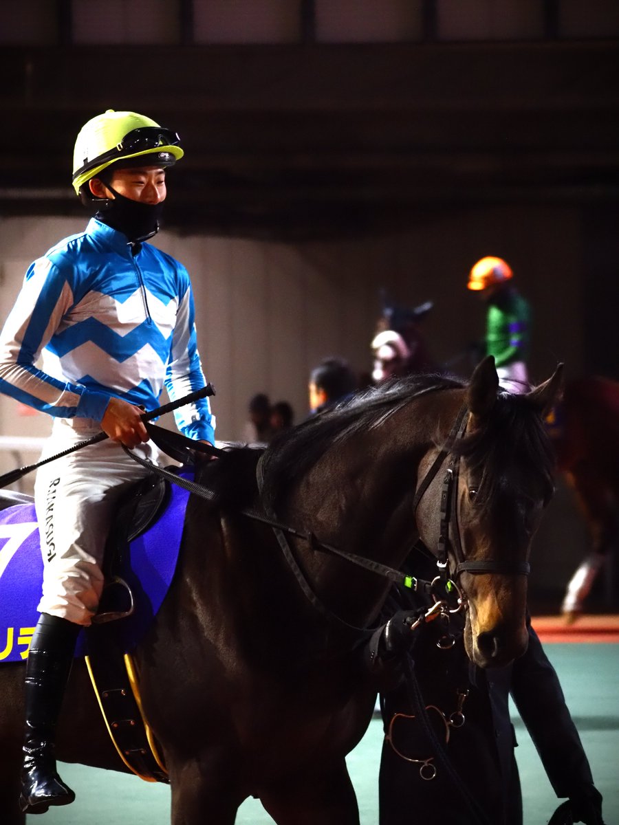 MakeFarmTokyo's tweet photo. 2026年1月21日船橋競馬場
JpnIII ブルーバードカップ
カタリテくん　その2 https://t.co/1BRSqJyAI9