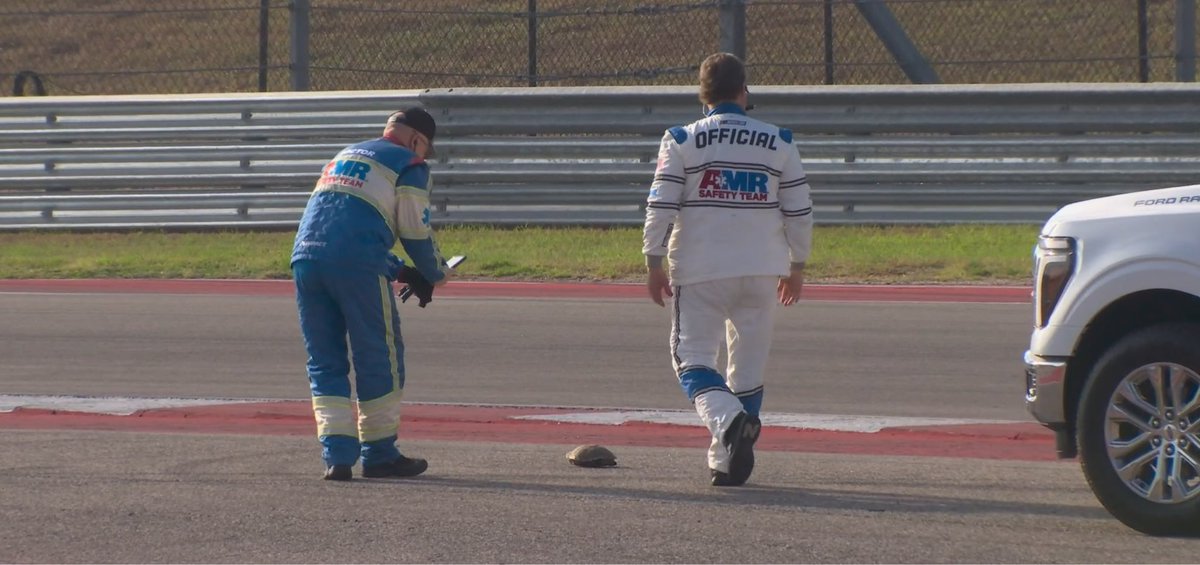 WE GOT A TURTLE ON TRACK AT COTA