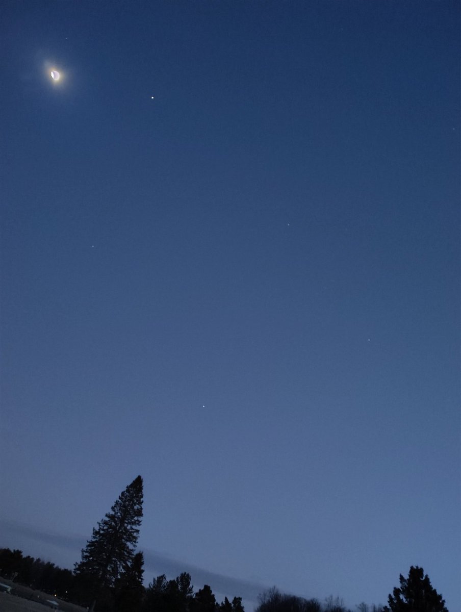 Deda 🌹 tweet media