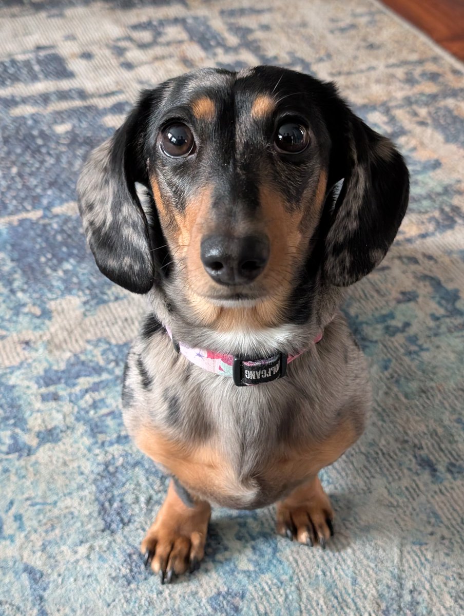 Page Turner Literary Agency tweet media