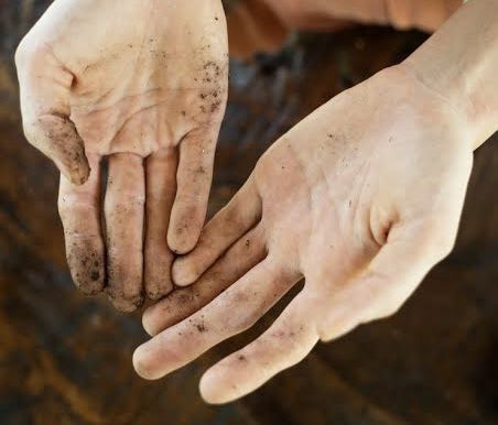 Dave Buxton tweet media