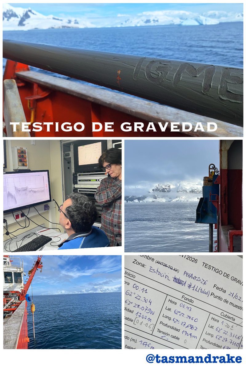 TASMANDRAKE tweet media