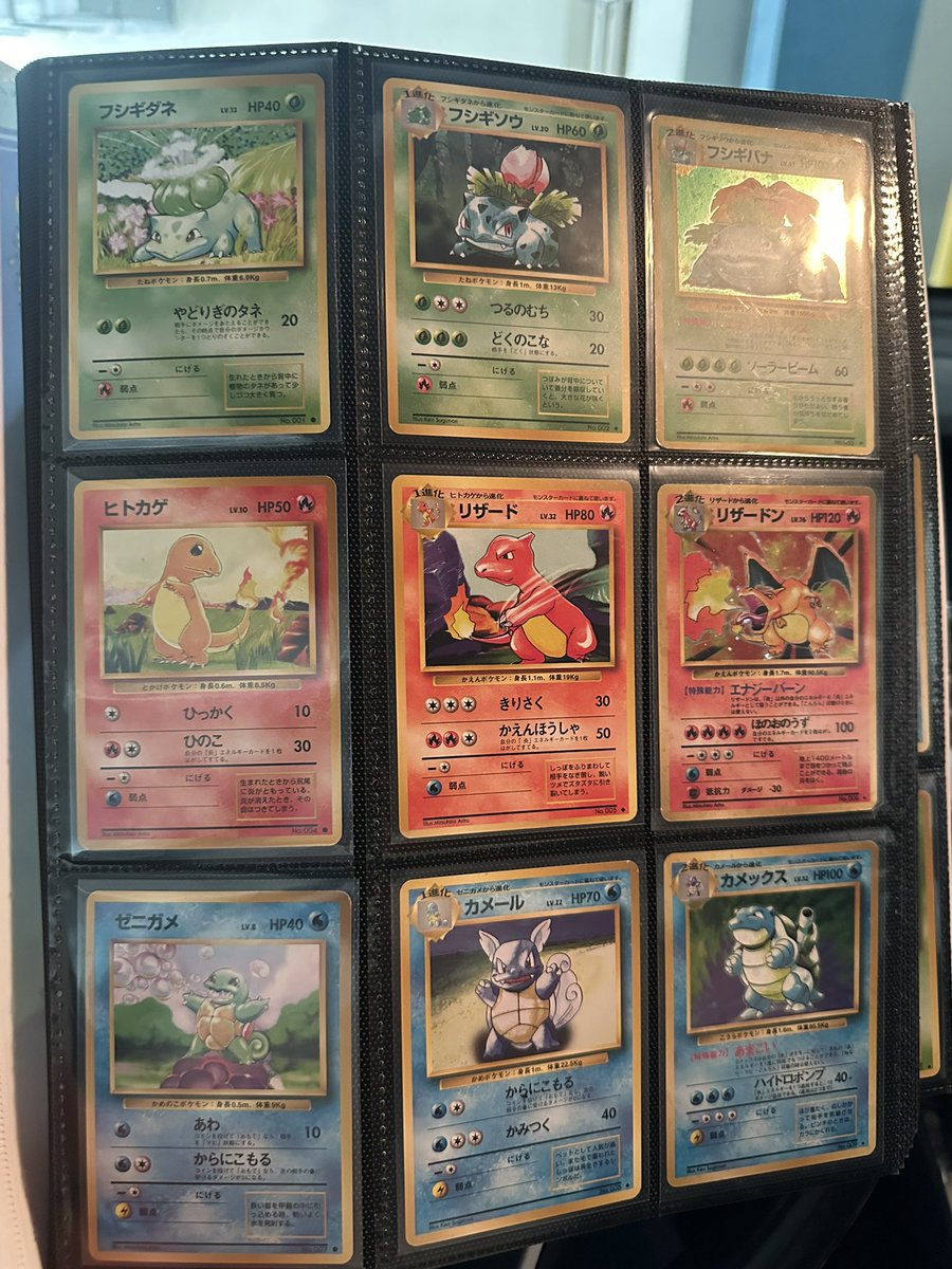 cats collectibles tcg tweet media