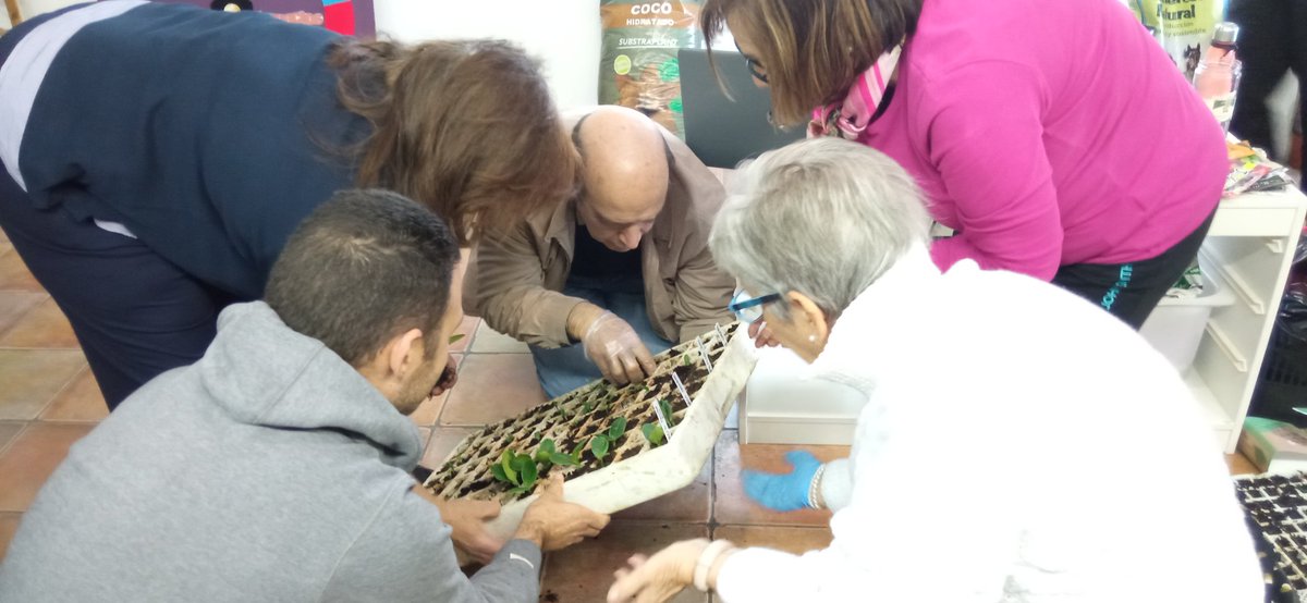 DeRhuam's tweet photo. Hoy en el Centro de @mostoleseducacionambiental hemos realizado un taller de semillado de los cultivos que más nos gustan! 🍉🍅🥒🌶️ Un día muy bonito en el que hemos aprendido algunos trucos. Ha sido un placer, gracias!
@sistemasmedioambientales 
@ayto_mostoles 
#huertosurbanos https://t.co/dJAmrJTtje