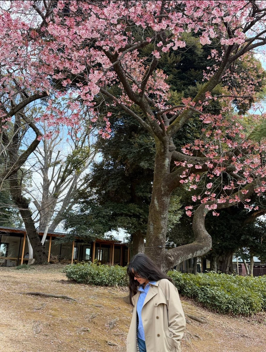 Pachita Cabeza 🪬 tweet media