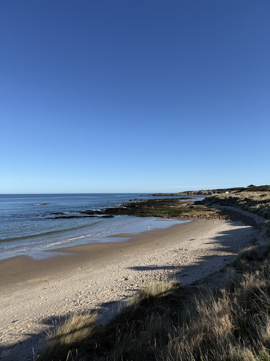 Laura Mitchell tweet media