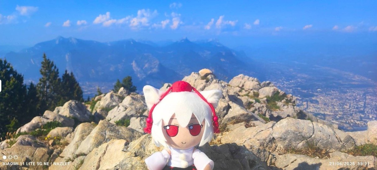 Daily Fumo Pictures 🏳️‍⚧️ tweet media
