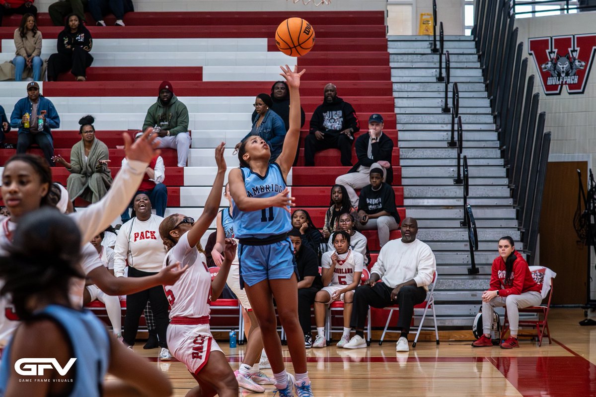 gameframevisuals tweet media