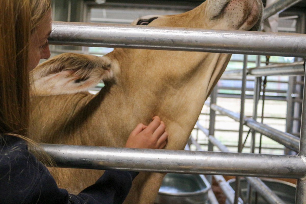 Pack Press tweet media