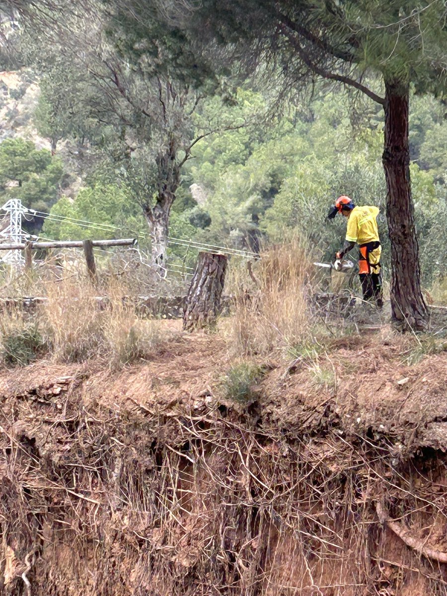 ADF175 Esparreguera🪵🔥🚨 tweet media