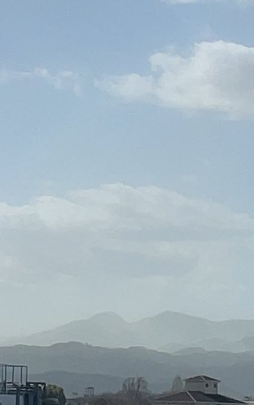 vor017's tweet photo. It’s relatively warm today, so there's a lot of pollen in the air 😆 The pollen is killing us! https://t.co/47enXSb4Yy