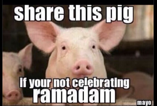 N Ecc 🏴󠁧󠁢󠁥󠁮󠁧󠁿🏴󠁧󠁢󠁥󠁮󠁧󠁿🏴󠁧󠁢󠁥󠁮󠁧󠁿 tweet media