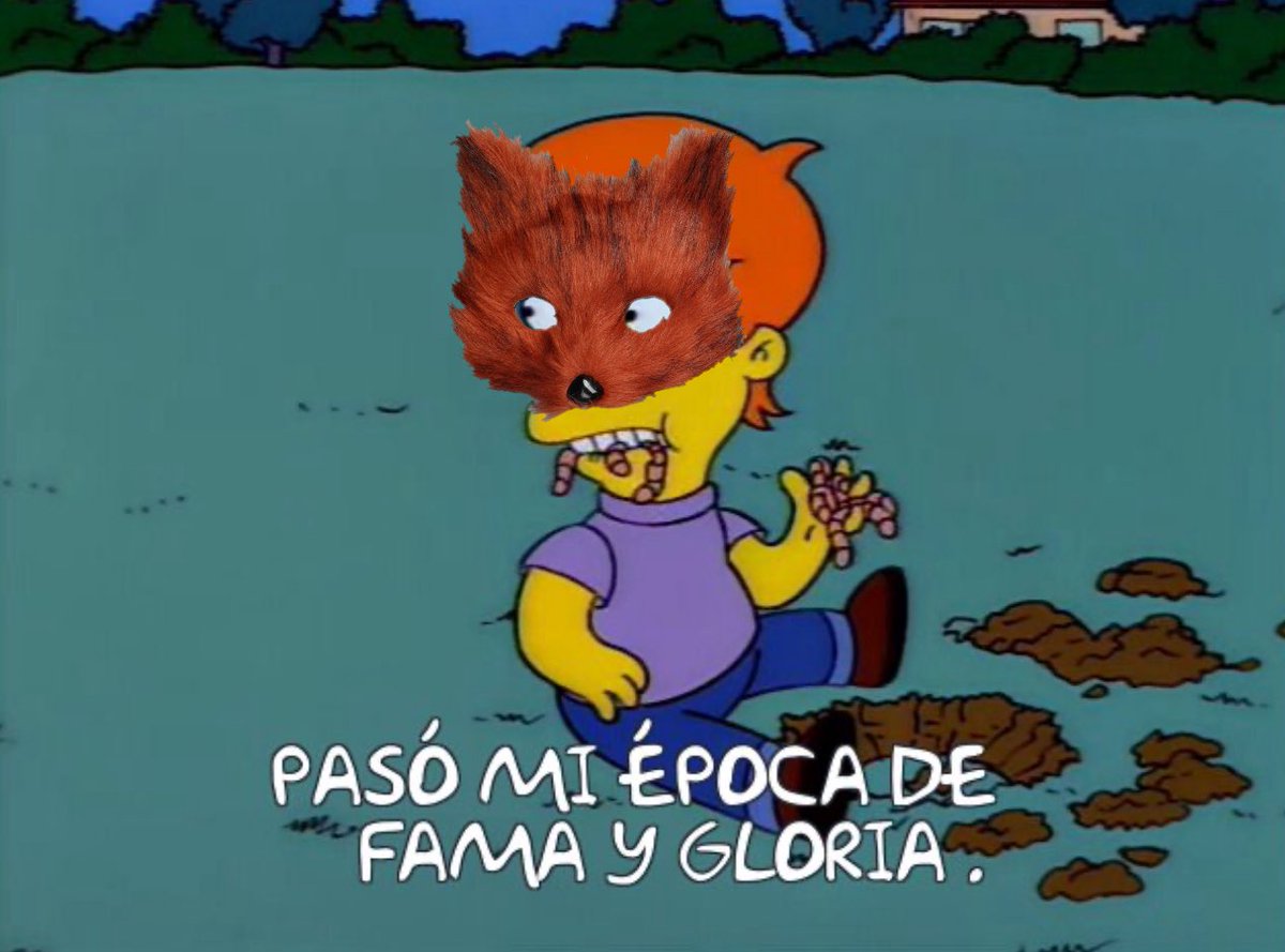 Simpsonito tweet media