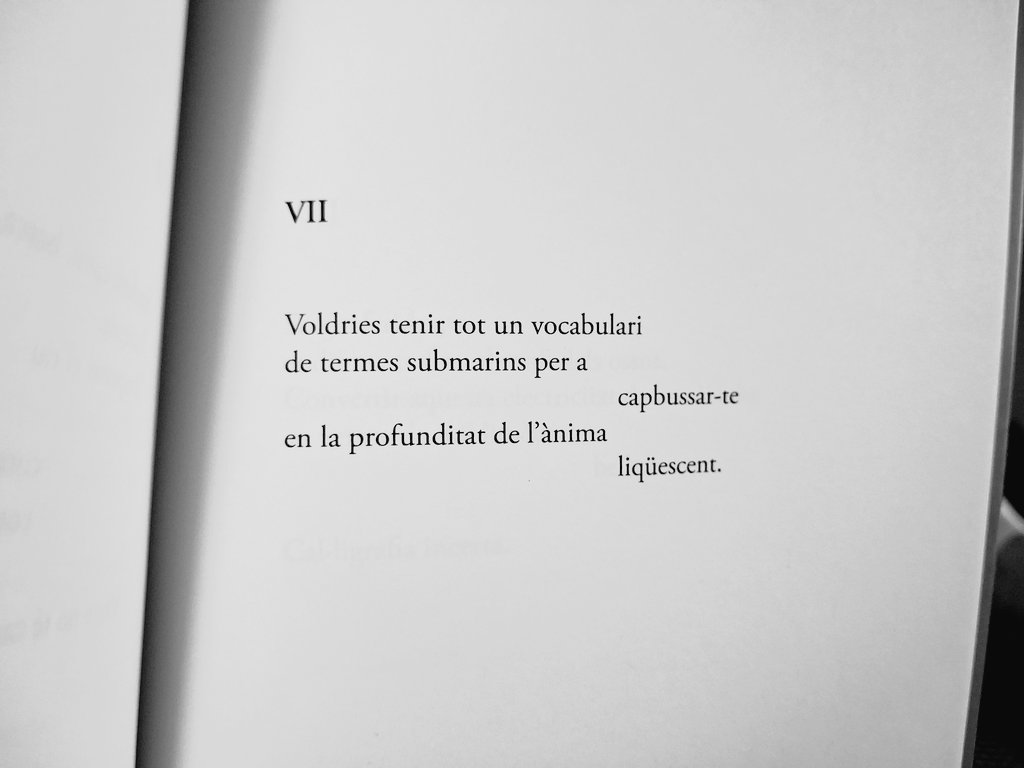 Carme Cruelles Rosales tweet media