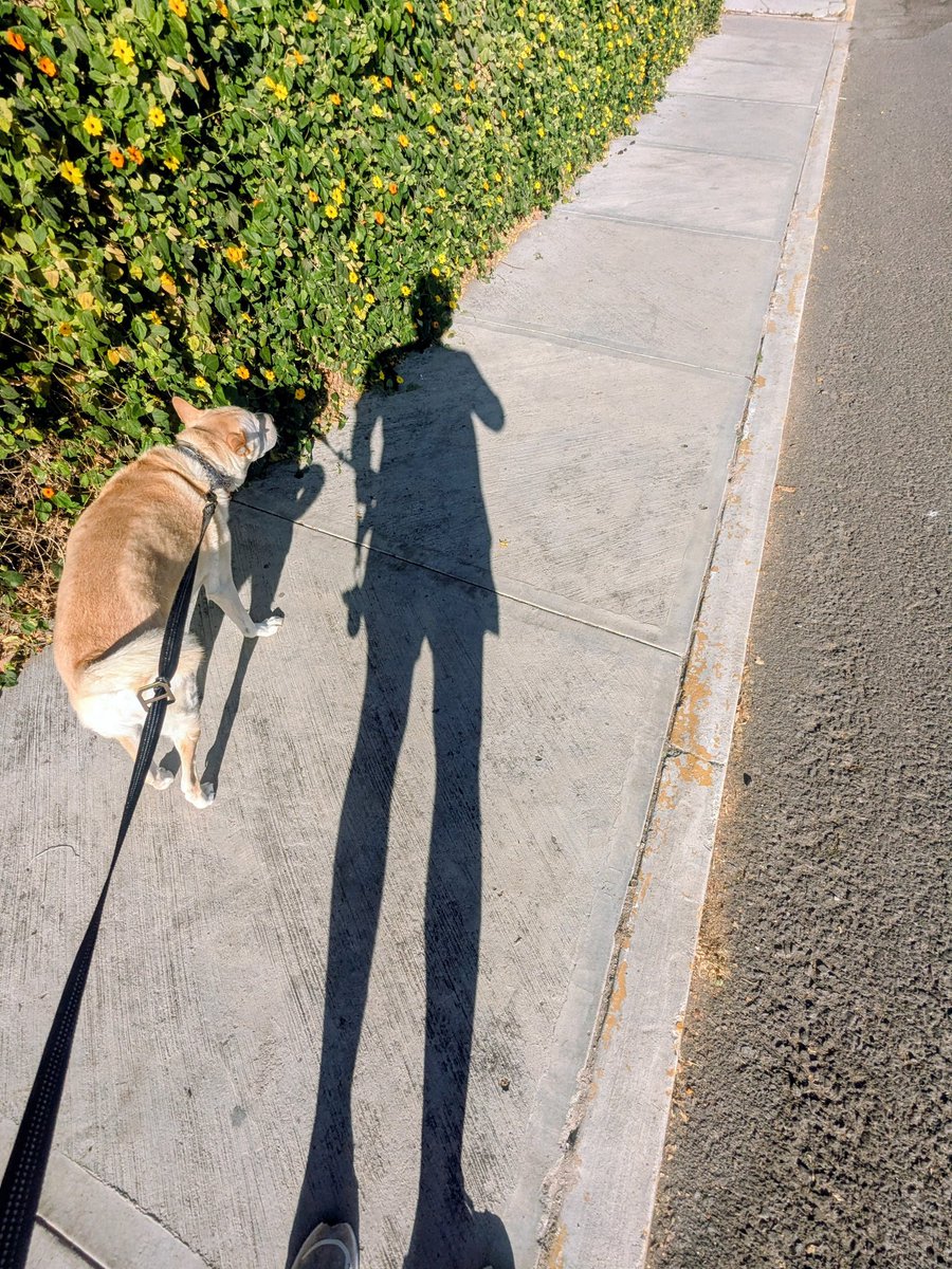 @BetoVodka tweet media