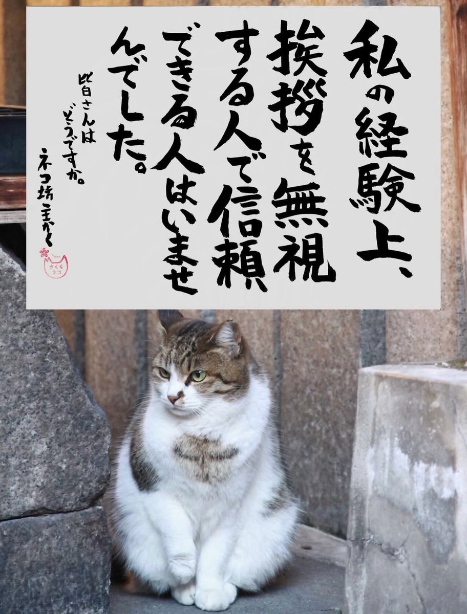 ネコさんから人間さんへ今日の一言