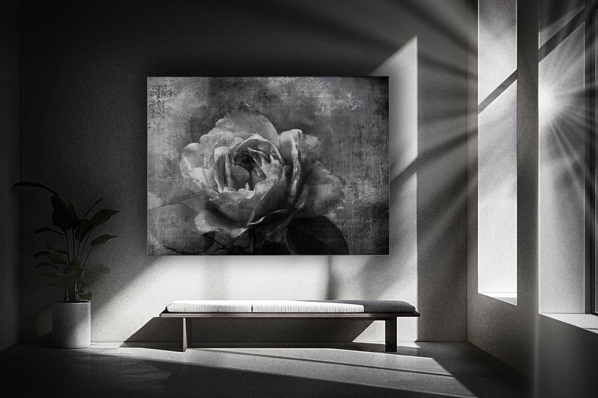 _andrewdavidart's tweet photo. new slideshow image on https://t.co/u3hEzUEfrD showing my Distressed Monochrome Textured Rose
photo by @_andrewdphotos #buyintoart #shoplocal
#wallart #walldecor #shoppixels https://t.co/45Mq6F2IHO