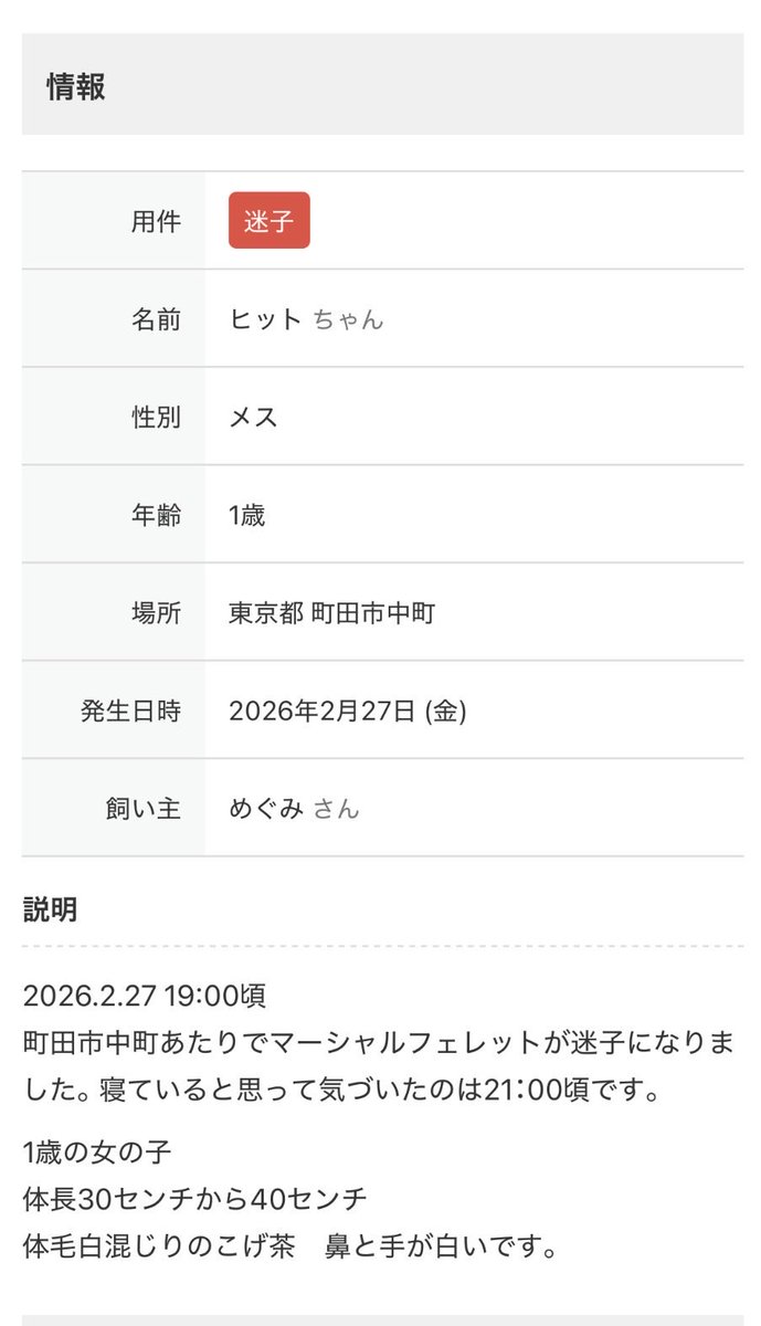 Wakame94268293's tweet photo. https://t.co/S7LkLrxhyP

#フェレット
#脱走
#町田市中町
#情報求む
#拡散希望 https://t.co/Yy2twZXclP