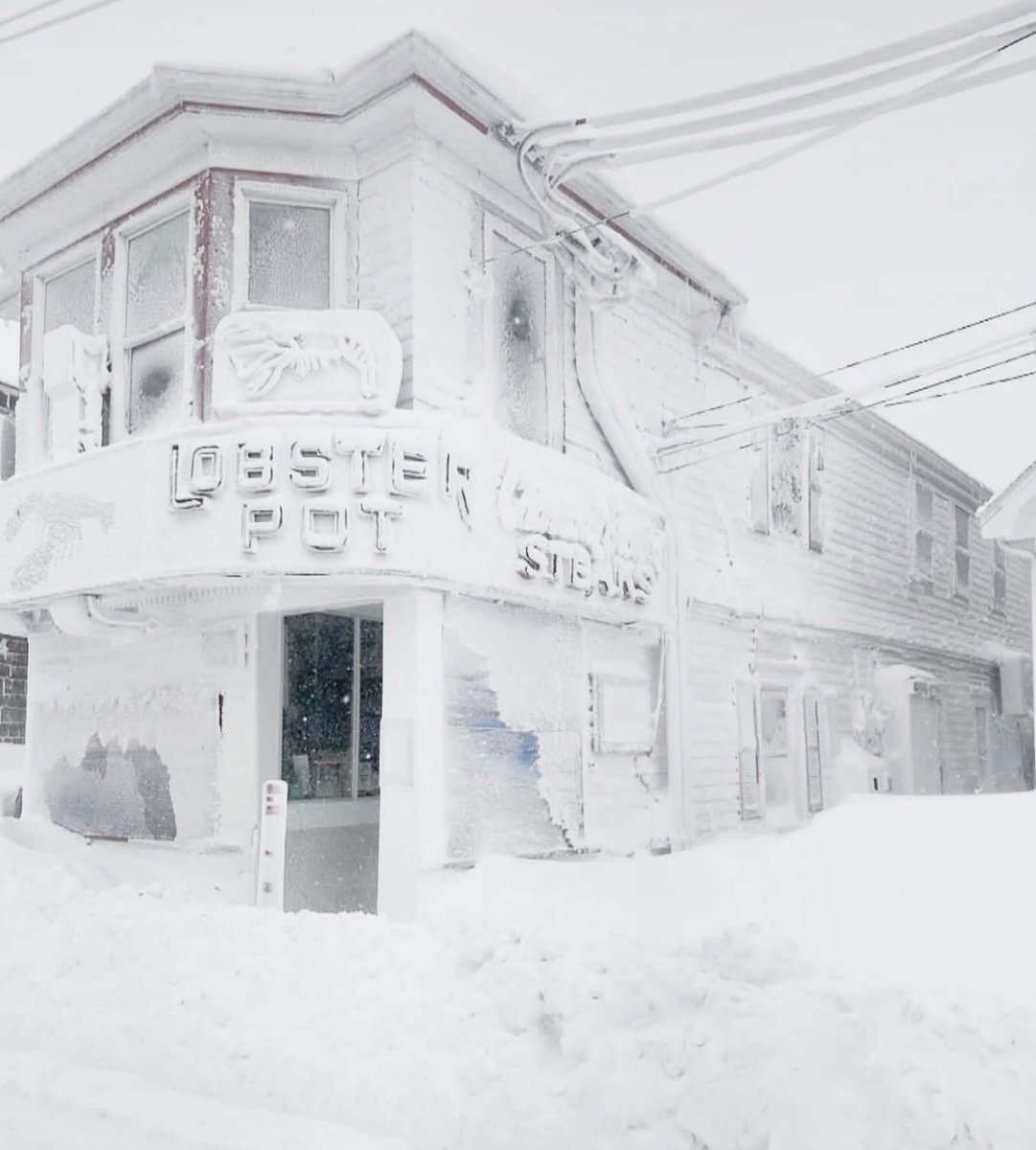 Cape Cod Bars tweet media