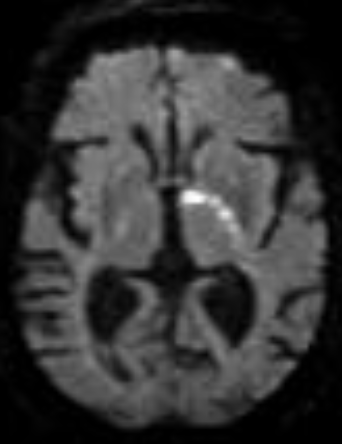 Whitfield Lewis, MD 🇦🇬🇺🇸 tweet media