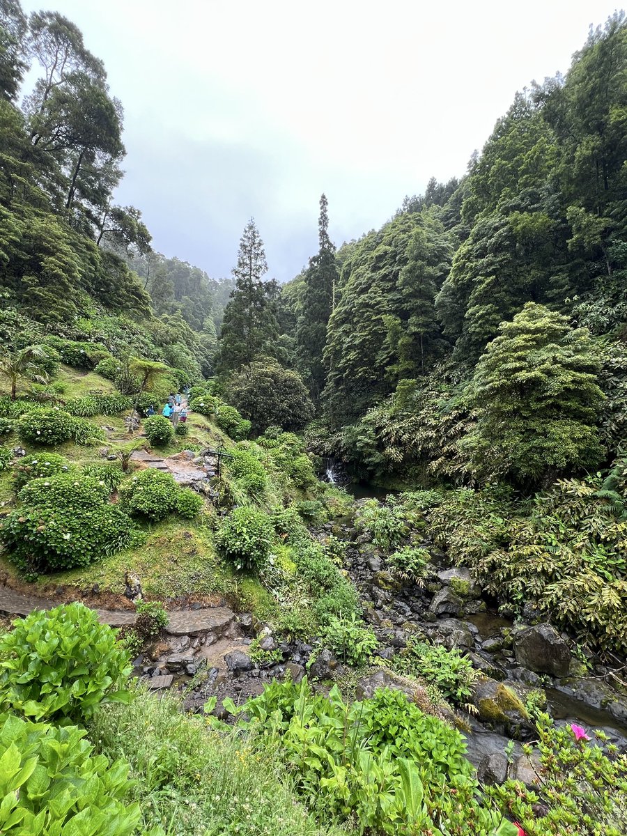 R0BR0_0's tweet photo. @euronationalizt Azores also very beautiful https://t.co/vL2RVL1yNf
