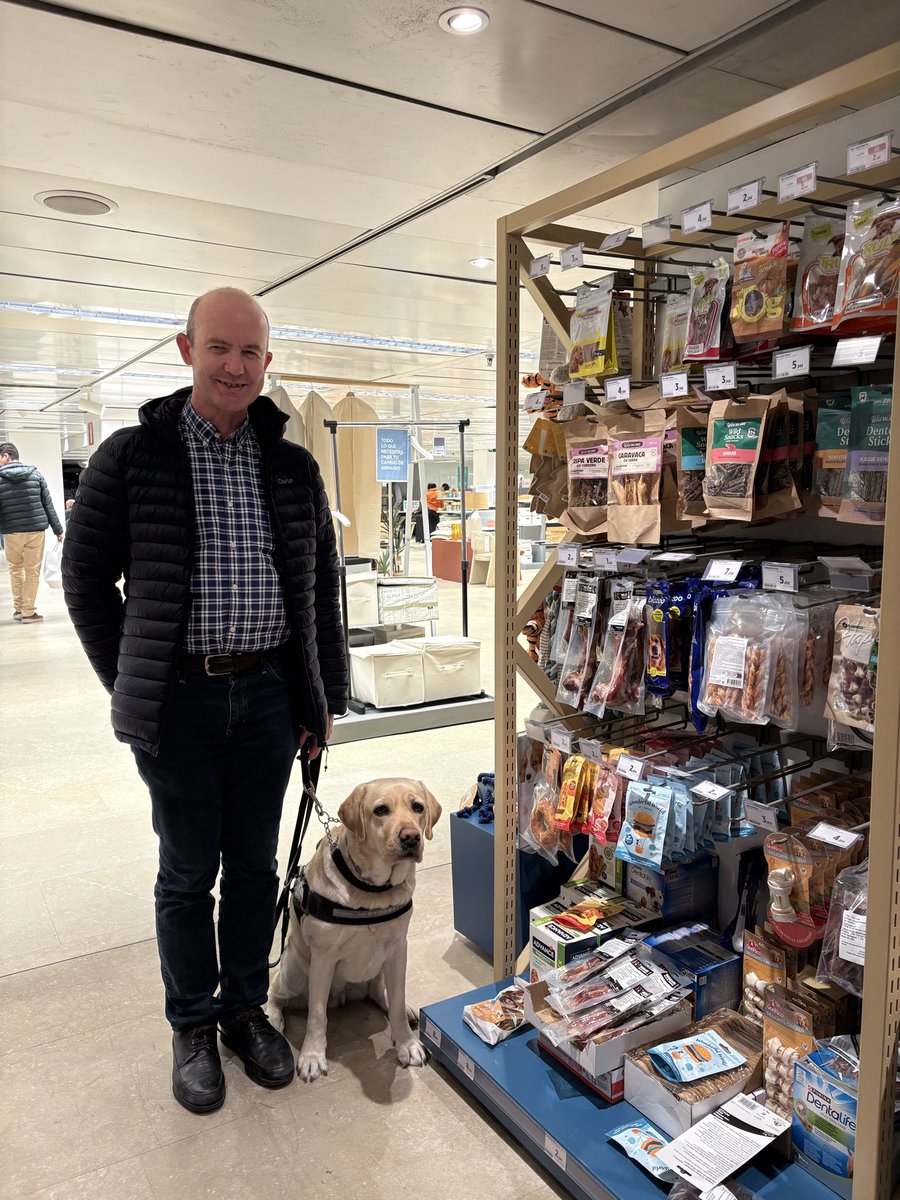 perrosguiamurcia.org tweet media