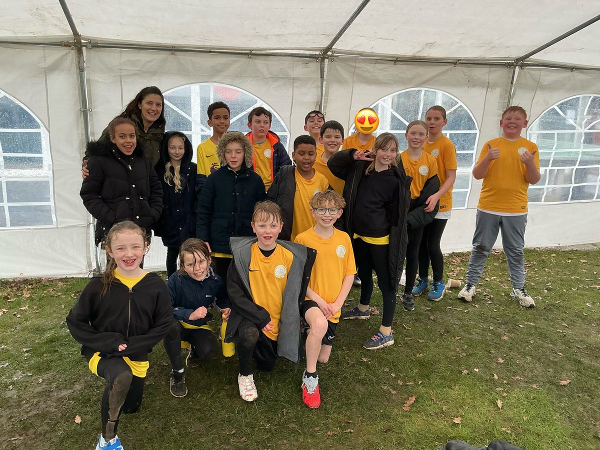 Quadring Primary tweet media