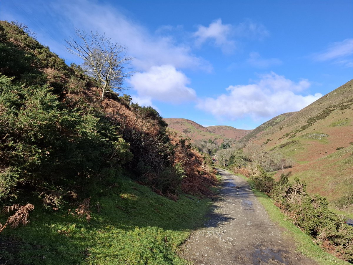 Lisa Wilde tweet media