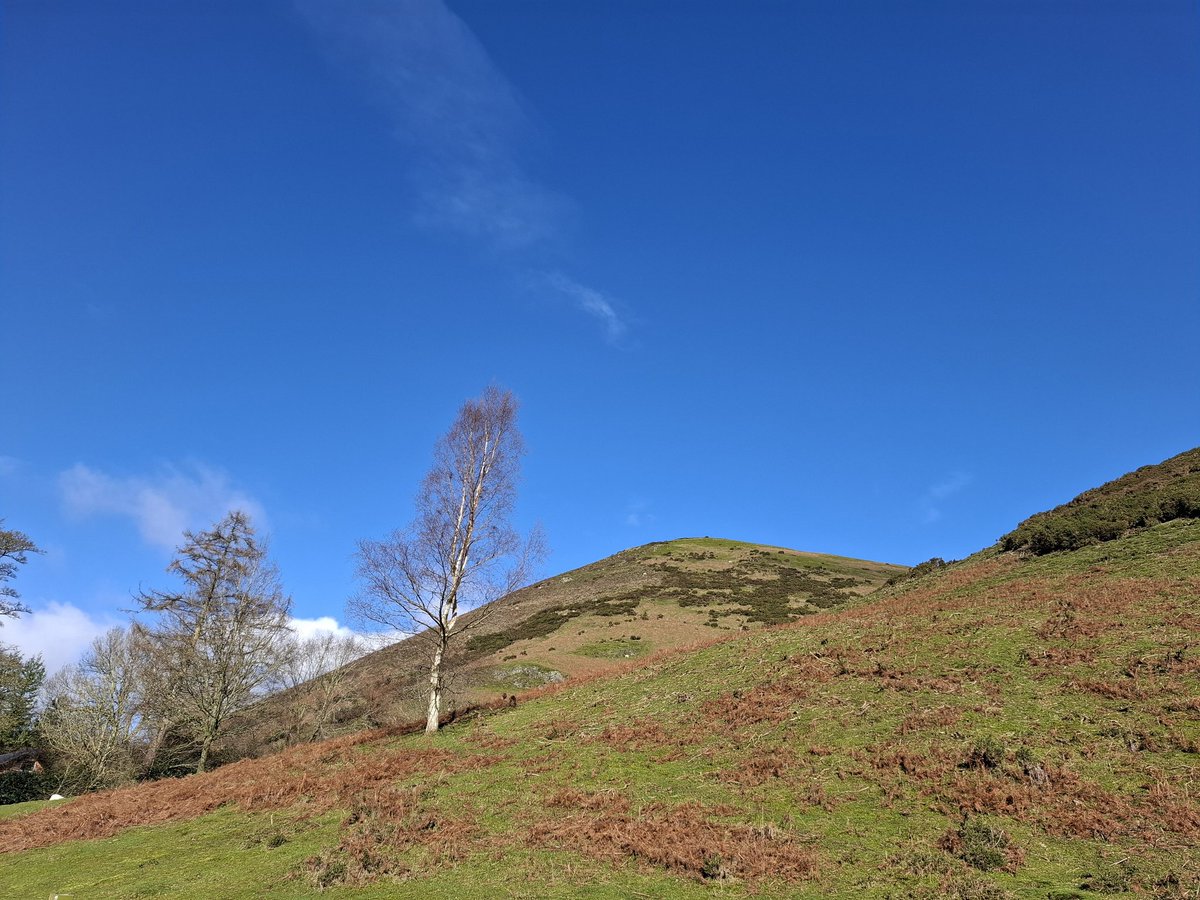 Lisa Wilde tweet media