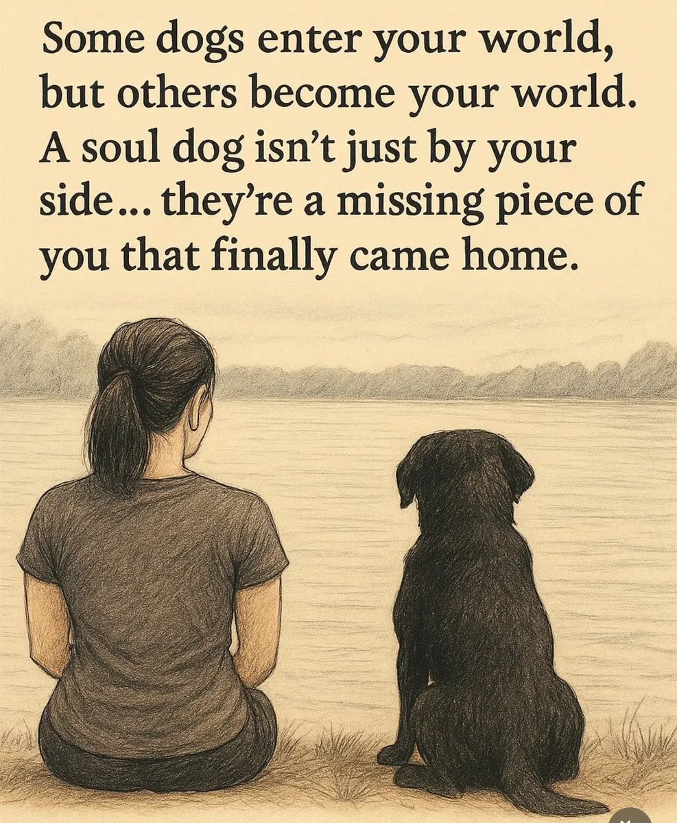 Dog Lovers tweet media