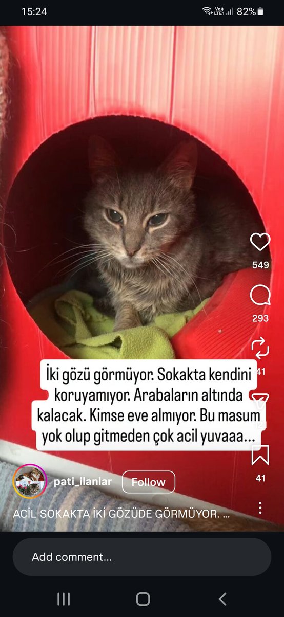 Insane Huseyin tweet media