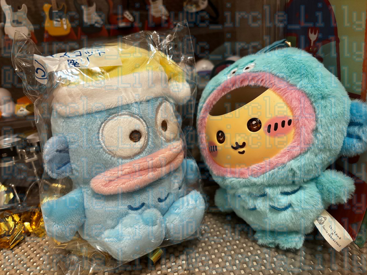 当たったハンギョドンマスコット、くりまんじゅうと一旦玄関に並べました◎