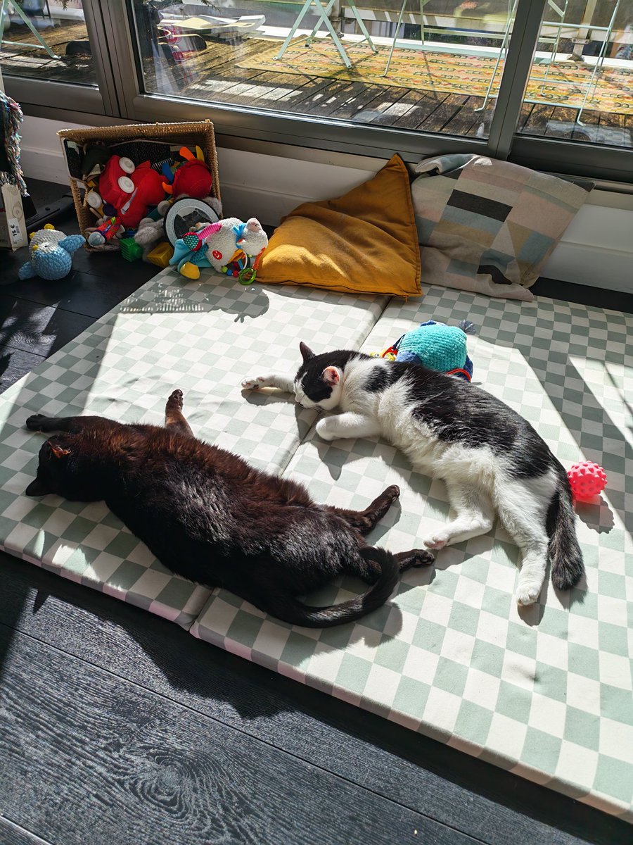 Psycholégiste ⚖️🧠 tweet media