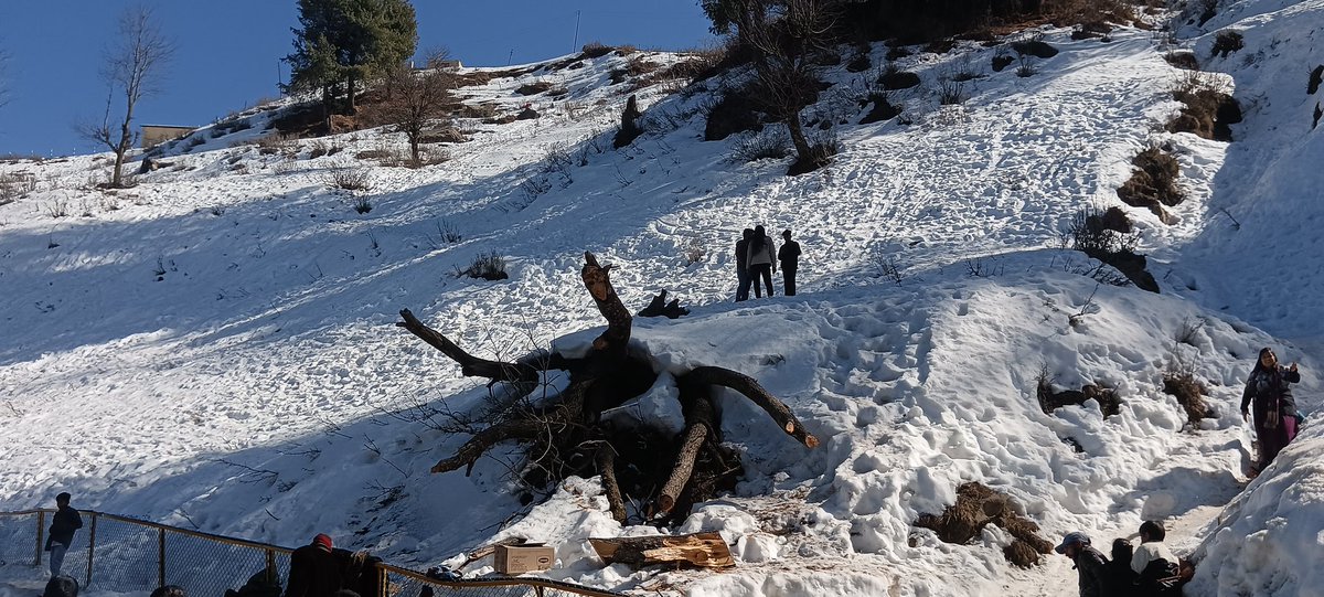 Arjun Sharma (अर्जुन शर्मा) tweet media