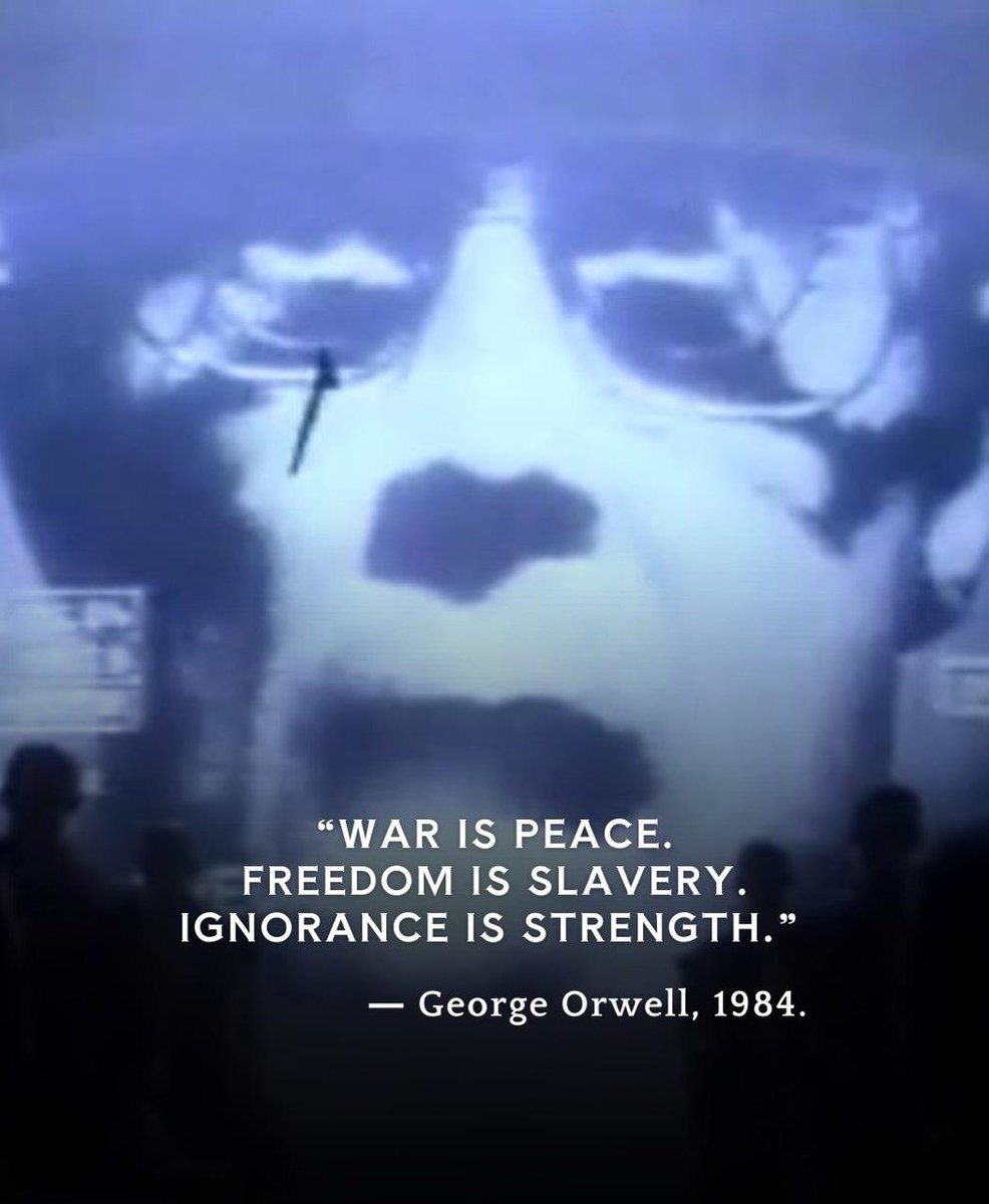 Mr. Sausage tweet media