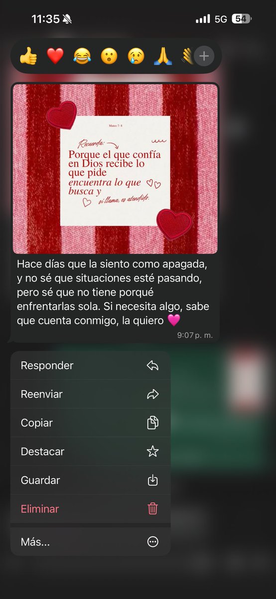 Este mensaje lo recibí hace unos días y es increíble como alguien te puede percibir a distancia, sin hablarte diario, que no estás bien. ❤️‍🩹 pero también lo que puede llenarte un mensaje