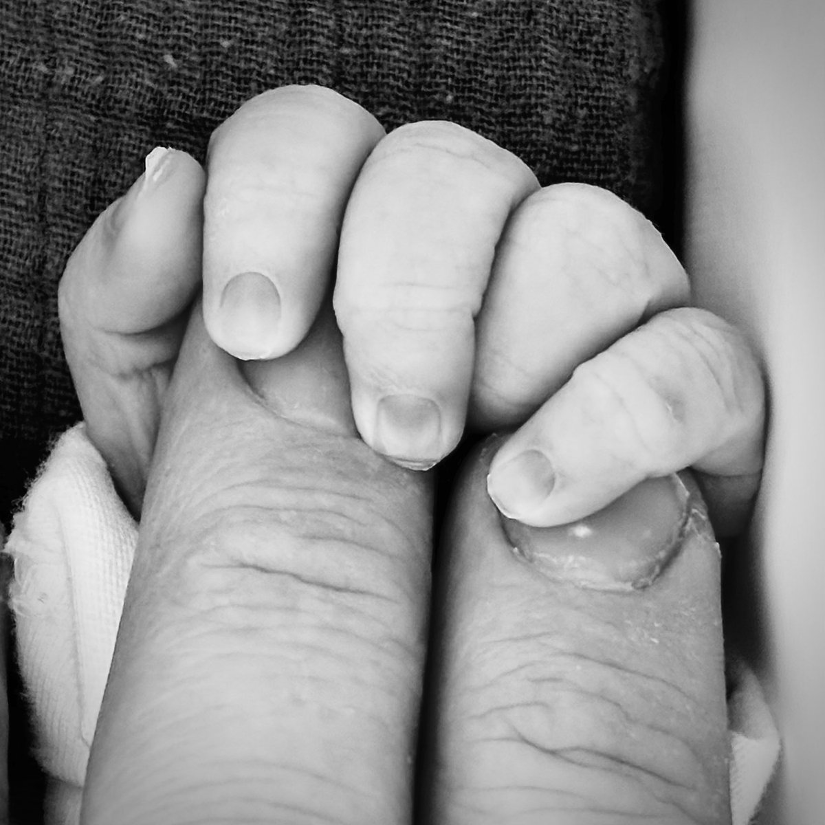 Rocker Teacher • BW tweet media