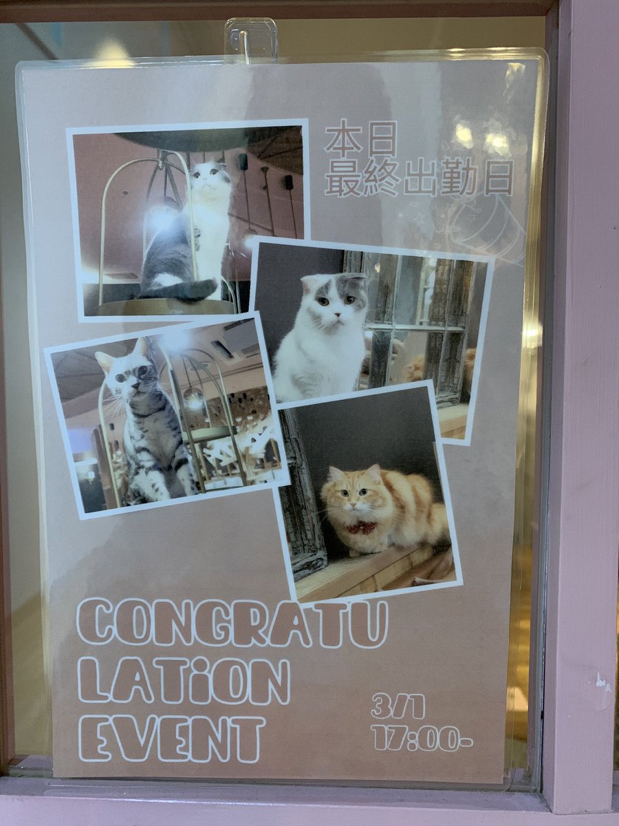 高城瀬奈 GC8 tweet media