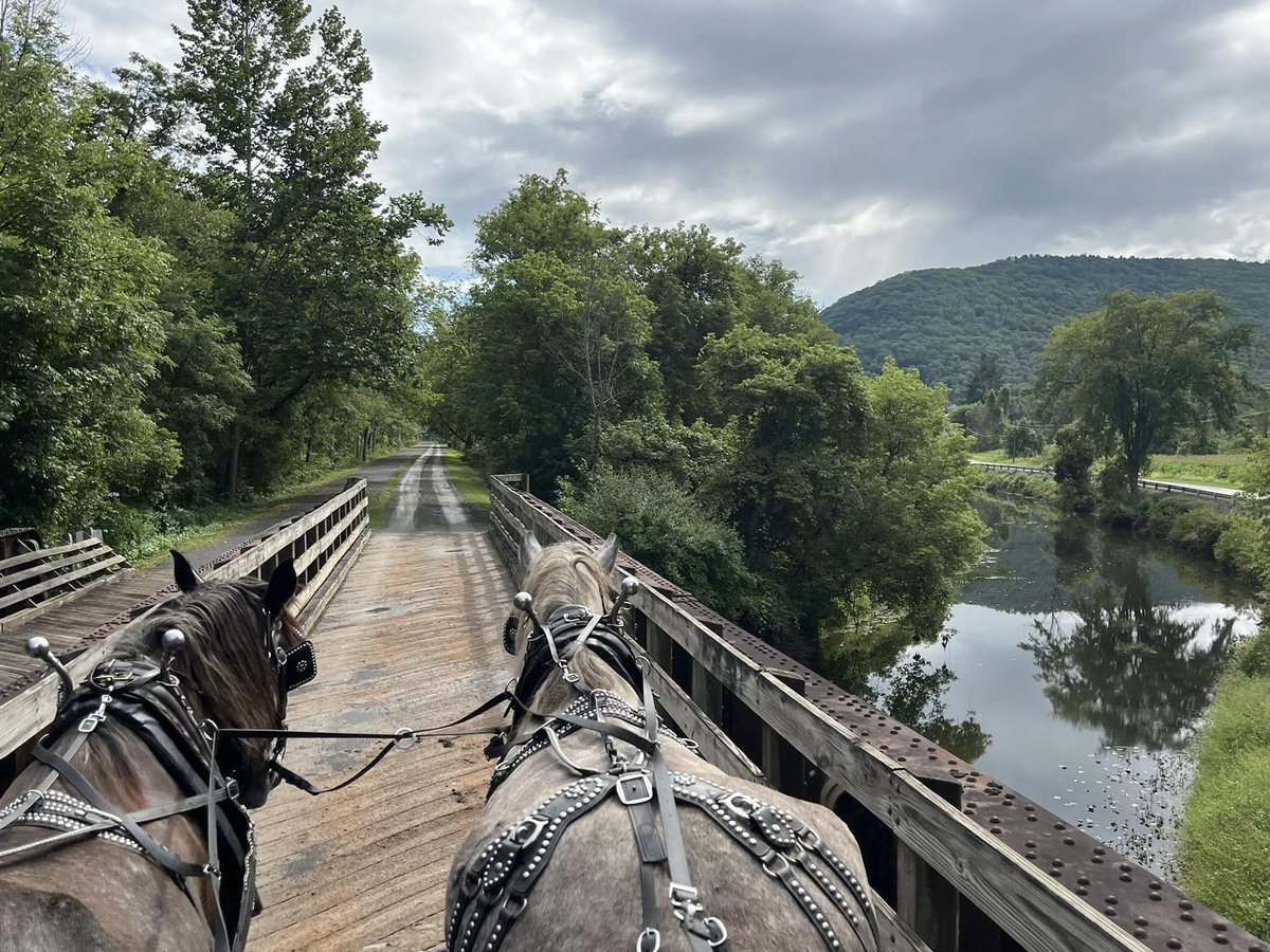 PADCEDnews's tweet photo. Say hello to PA’s 2026 Trail of the Year — Pine Creek Trail! 🎖️ Stretching through stunning forests and scenic valleys, this iconic trail is a favorite for hikers, bikers, and nature seekers from near and far. 🥾🚴♂️🍃 #PAProud
https://t.co/wqokXwFJ3O https://t.co/E6qib0hZoW