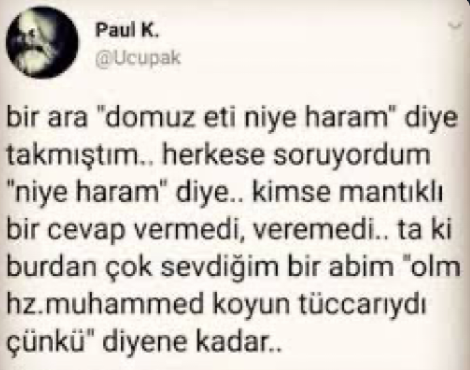 İT KÖPEK A.Ş. (@itkopekas_) on Twitter photo 