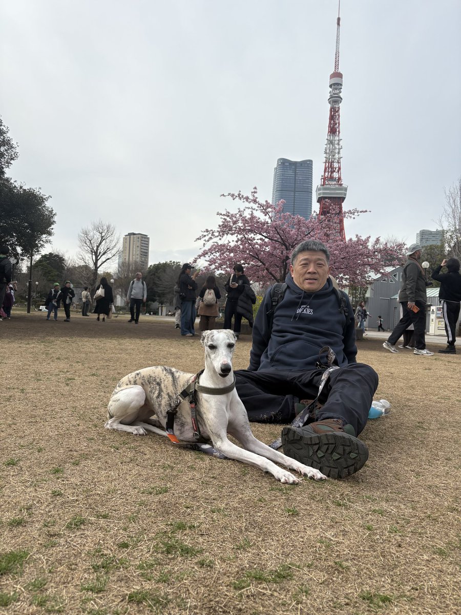 伍雷（吊证律师） tweet media