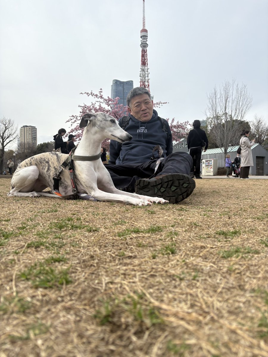 伍雷（吊证律师） tweet media