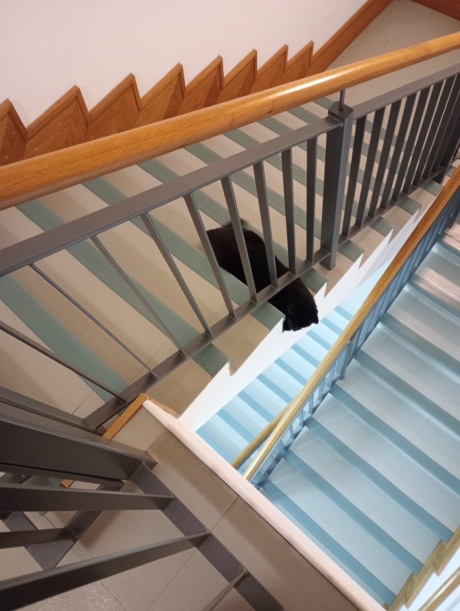 Sr Jessica tweet media