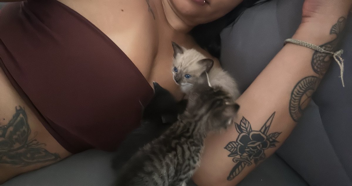 infelizmente não poder ir trabalhar por motivos de: