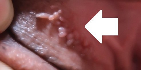 Modern Health tweet media